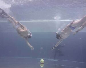 Anschwimmen zu Beginn jeder Halbzeit